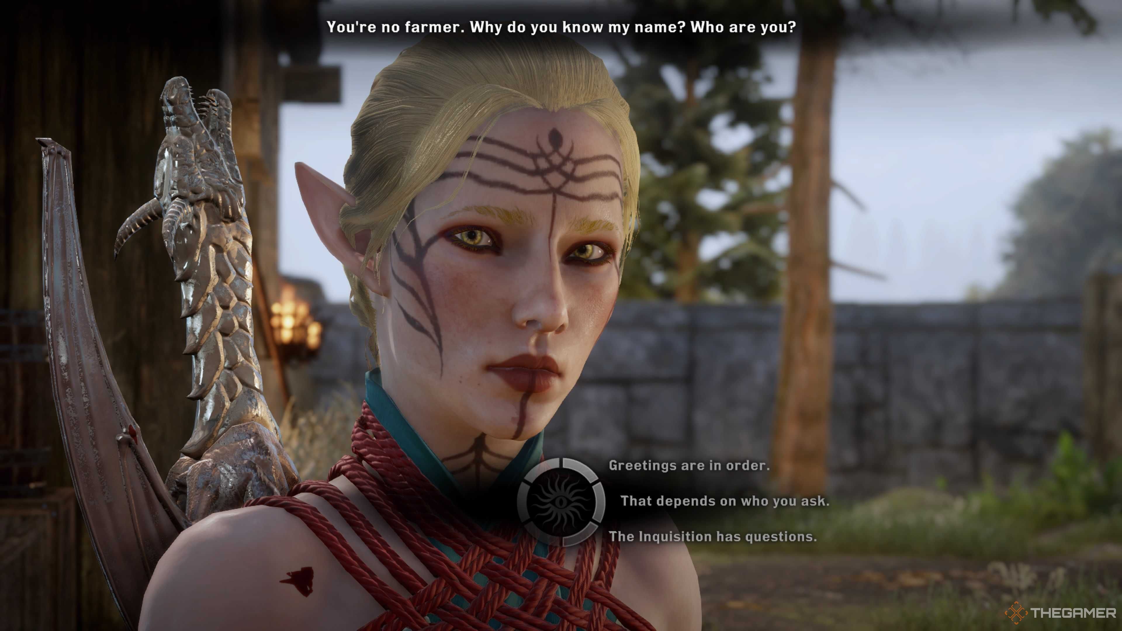 Un elfe inquisiteur dans Dragon Age : Inquisition